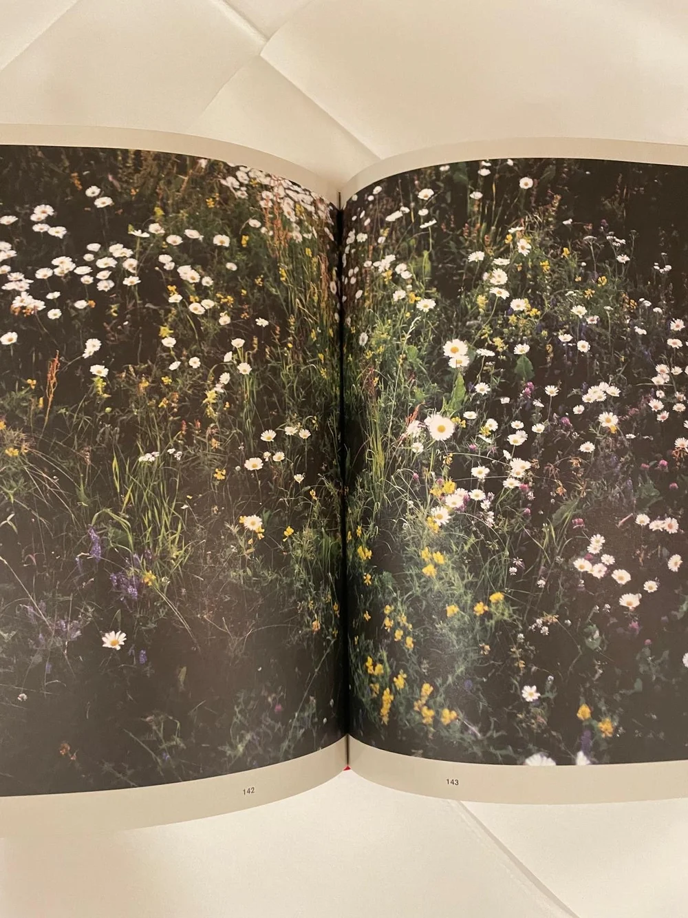 Fäviken by Magnus Nilsson — Cafe St Honore